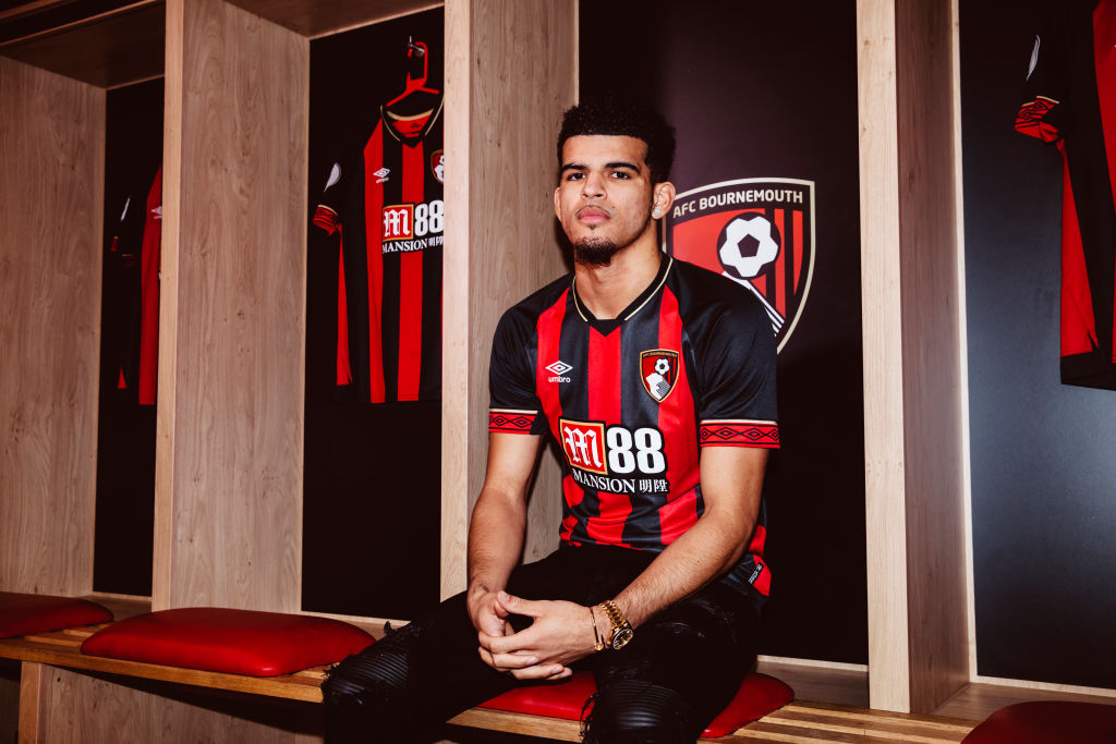 Photo by AFC Bournemouth/AFC Bournemouth via Getty Images