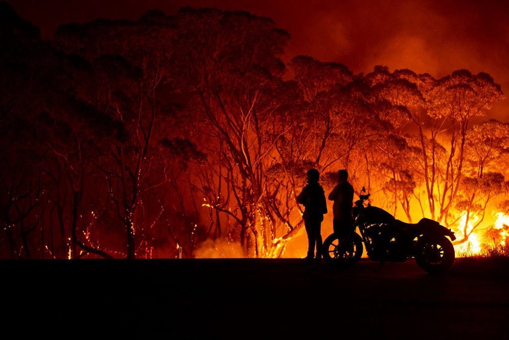 Photo by Brett Hemmings/Getty Images