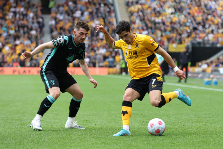 Photo by Jack Thomas - WWFC/Wolves via Getty Images