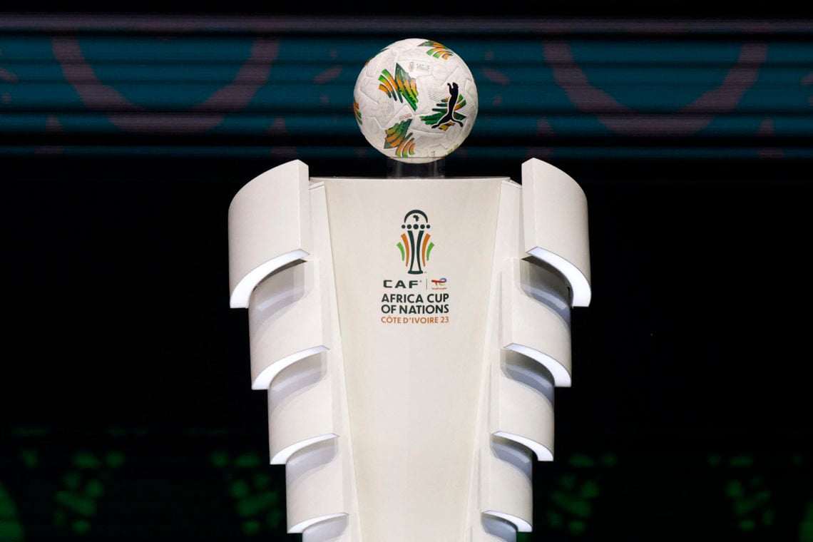 Photo by WIKUS DE WET/AFP via Getty Images