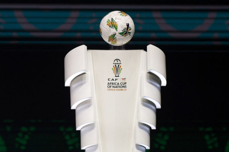 Photo by WIKUS DE WET/AFP via Getty Images