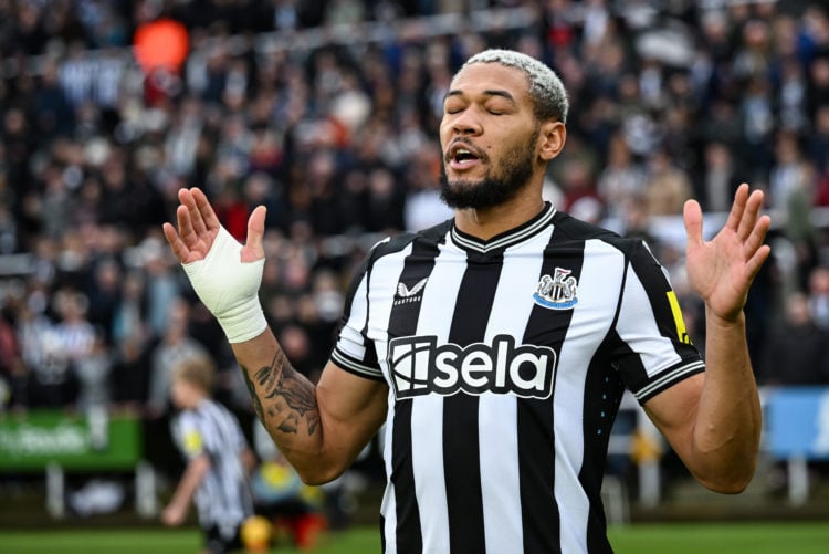 Photo by Serena Taylor/Newcastle United via Getty Images