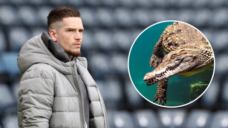 Ryan Kent of Rangers inspects the pitch prior to the Scottish Cup. Inset, a crocodile diving.